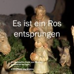 Es ist ein Ros_k